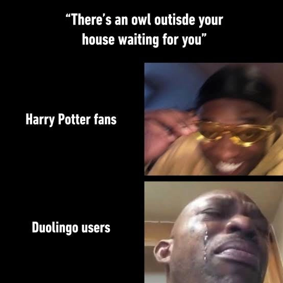 
    I thought it was just a meme