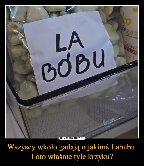 
    Wszyscy wkoło gadają o jakimś Labubu. I oto właśnie tyle krzyku?