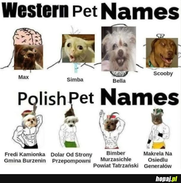 
    Polska górą