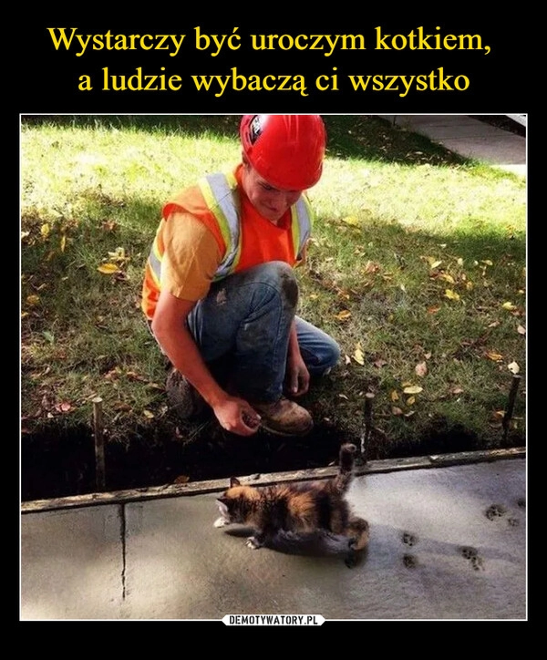 
    Wystarczy być uroczym kotkiem, 
a ludzie wybaczą ci wszystko