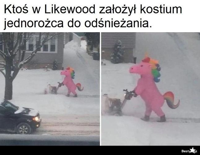 
    Odśnieżanie 