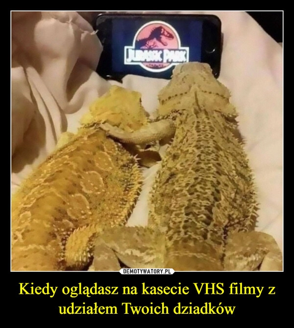 
    Kiedy oglądasz na kasecie VHS filmy z udziałem Twoich dziadków