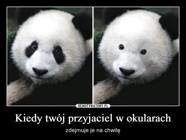 
    Kiedy twój przyjaciel w okularach