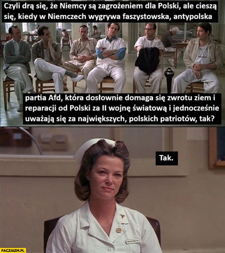 
    Czyli drą się, że Niemcy są zagrożeniem ale cieszą się kiedy wygrywa AfD która domaga się reparacji od polski? Tak