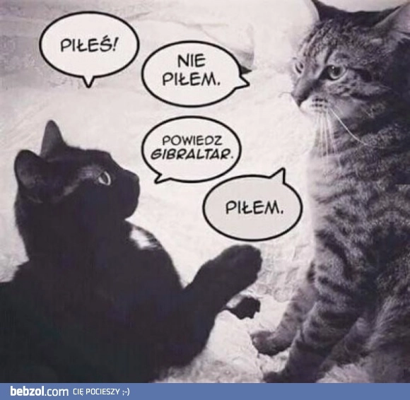 
    Piłeś?