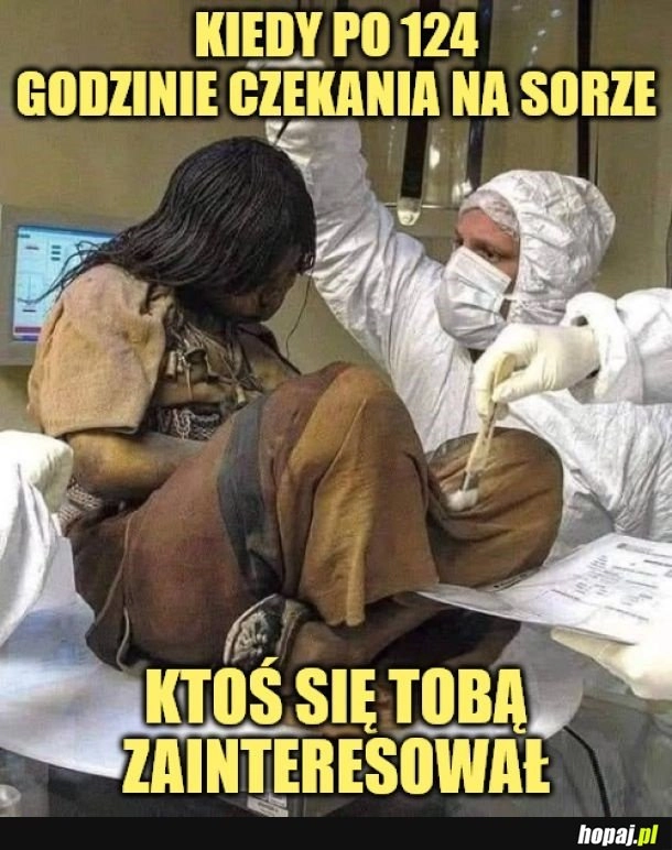 
    Szybko poszło.