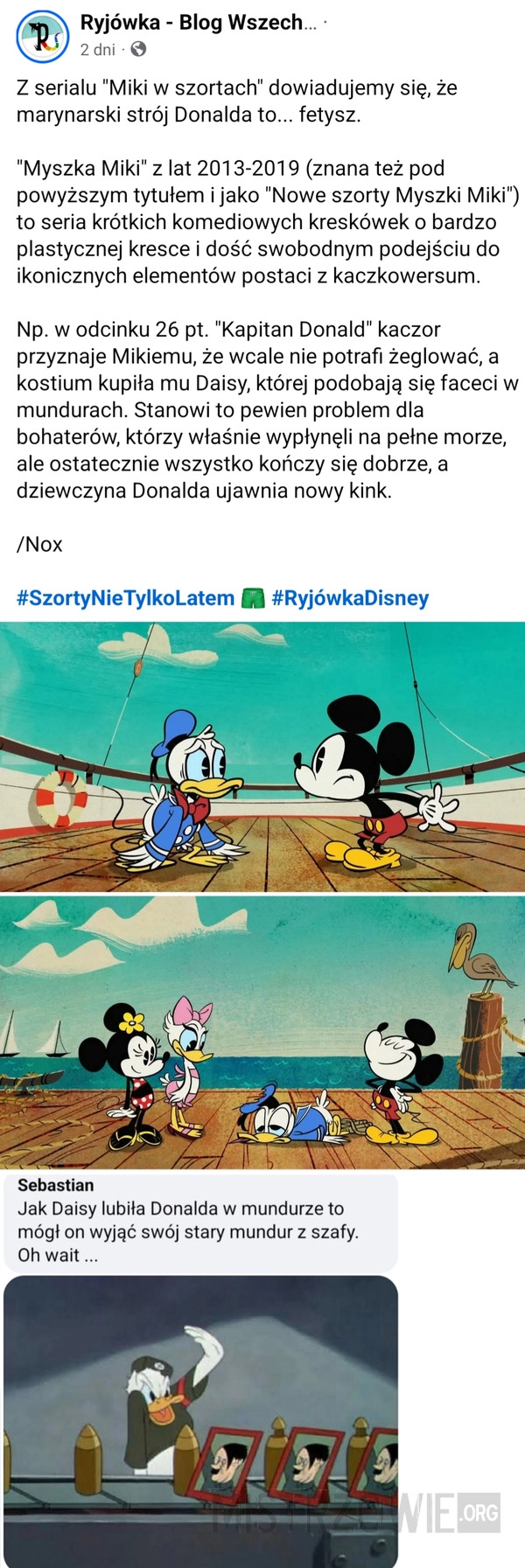 
    Kaczor Donald