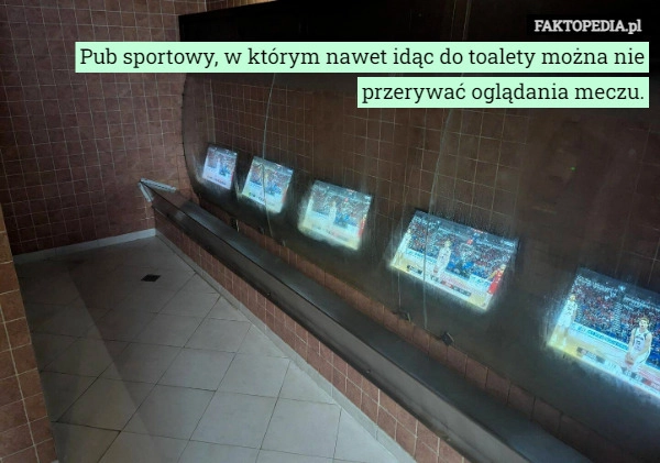 
    Pub sportowy, w którym nawet idąc do toalety można nie przerywać oglądania