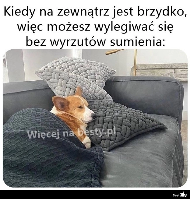 
    Żadnych wyrzutów sumienia 