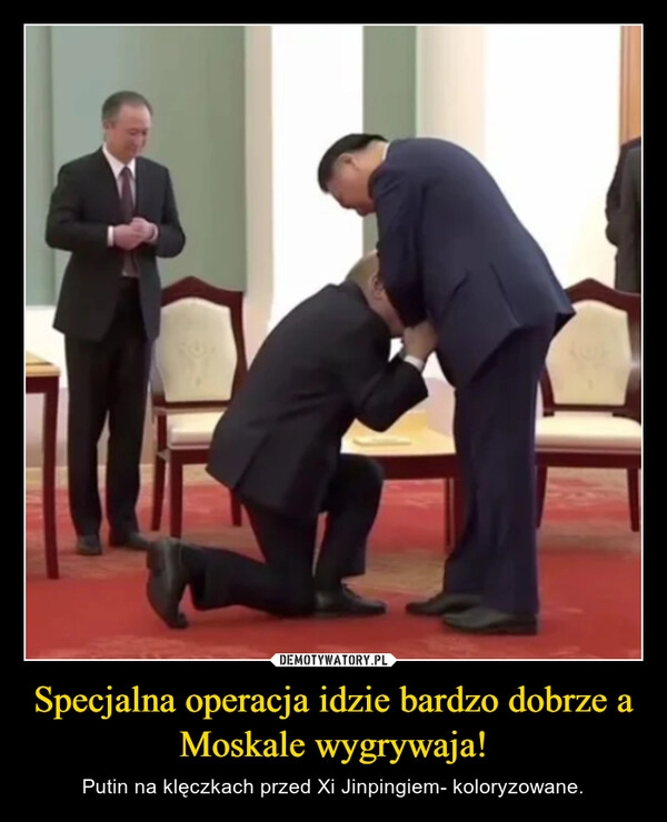 
    Specjalna operacja idzie bardzo dobrze a Moskale wygrywaja!