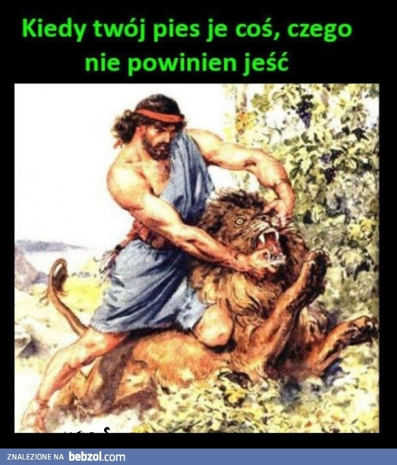 
    Zostaw to!