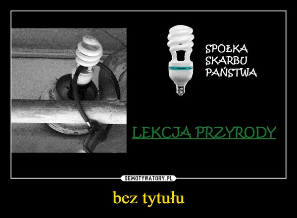 
    bez tytułu