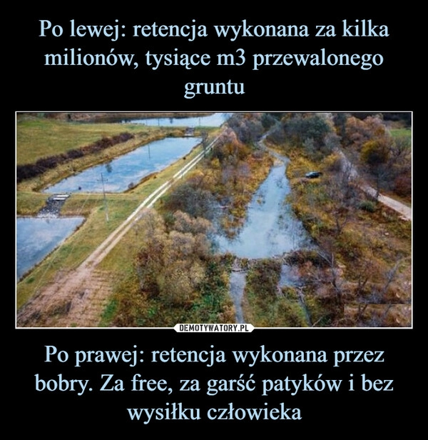 
    Po lewej: retencja wykonana za kilka milionów, tysiące m3 przewalonego gruntu Po prawej: retencja wykonana przez bobry. Za free, za garść patyków i bez
wysiłku człowieka