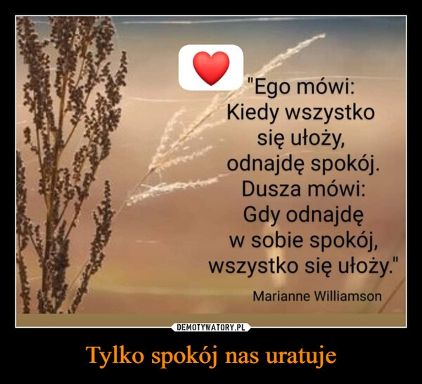 
    Tylko spokój nas uratuje