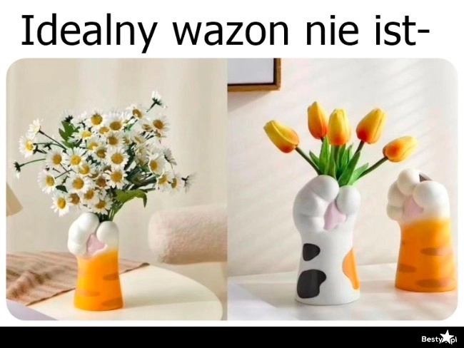 
    Wazon dla kociarzy 