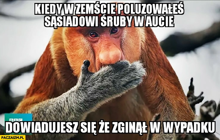 
    Kiedy w zemście poluzowałeś sąsiadowi śruby w aucie i dowiadujesz się, że zginął w wypadku typowy Polak nosacz