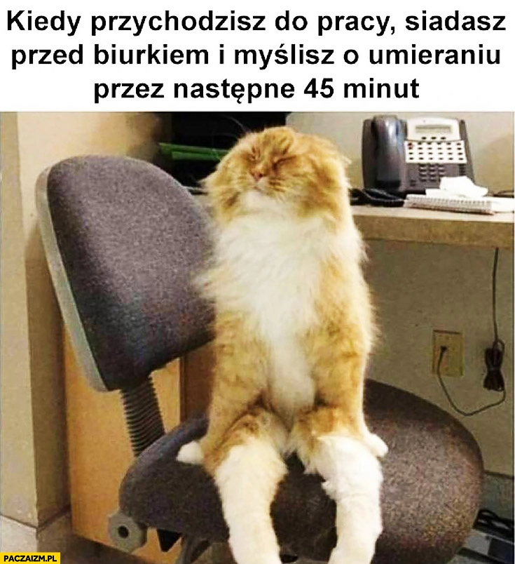 
    Kiedy przychodzisz do pracy, siadasz przed biurkiem i myślisz o umieraniu przez następne 45 minut