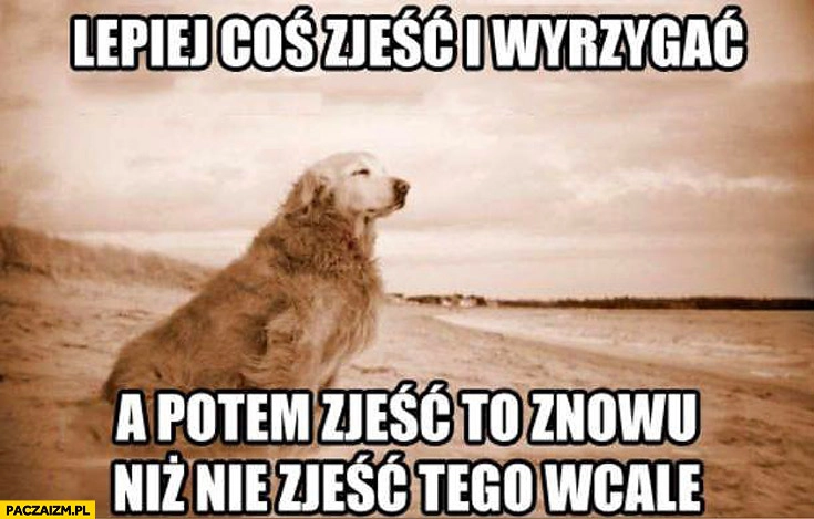 
    Lepiej coś zjeść i wyrzygać a potem zjeść to znowu niż nie zjeść tego wcale psia logika pies
