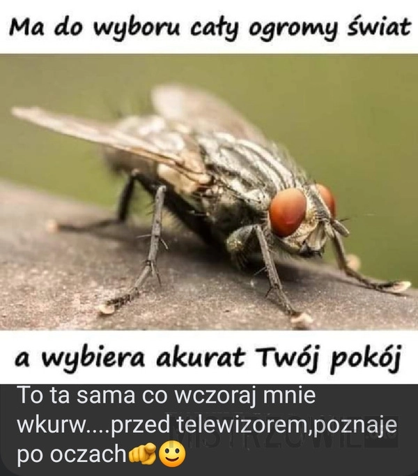 
    Ma do wyboru cały ogromny świat