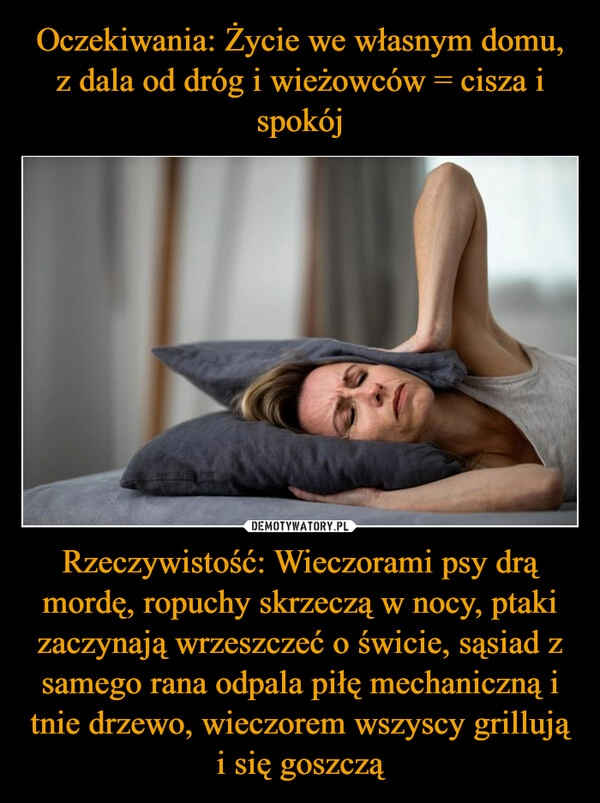 
    Oczekiwania: Życie we własnym domu, z dala od dróg i wieżowców = cisza i spokój Rzeczywistość: Wieczorami psy drą mordę, ropuchy skrzeczą w nocy, ptaki zaczynają wrzeszczeć o świcie, sąsiad z samego rana odpala piłę mechaniczną i tnie drzewo, wieczorem wszyscy grillują i się goszczą