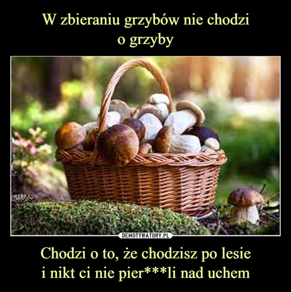 
    W zbieraniu grzybów nie chodzi
o grzyby Chodzi o to, że chodzisz po lesie
i nikt ci nie pier***li nad uchem