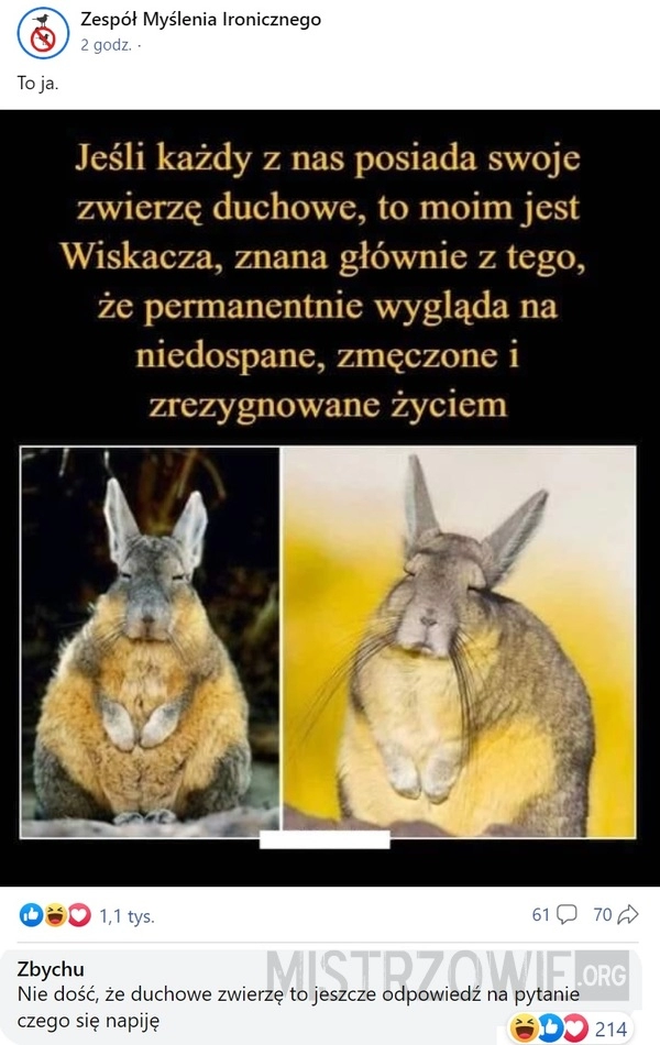 
    Zwierzę duchowe