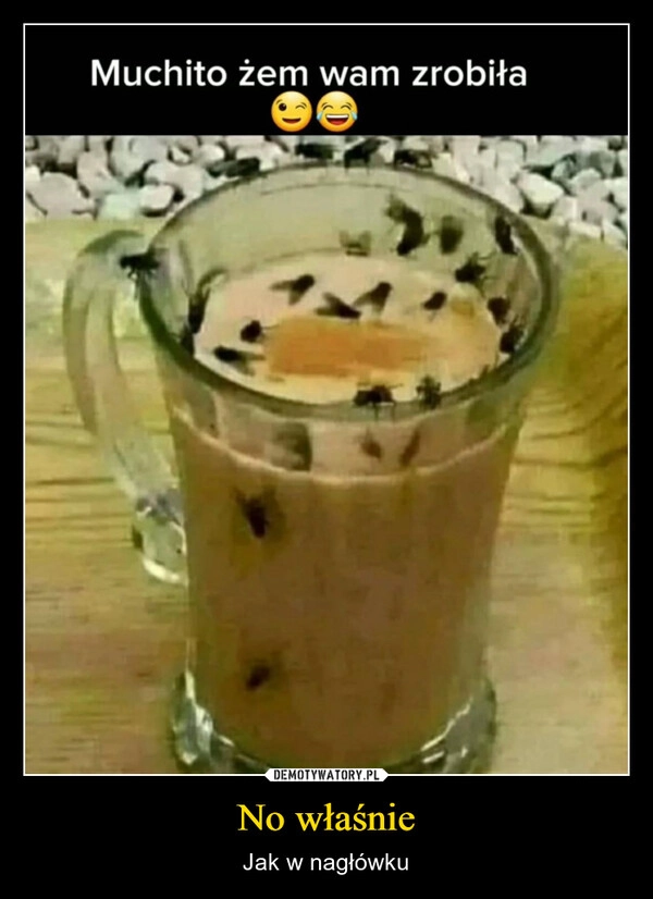 
    No właśnie