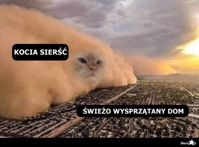 
    Było sobie czysto 