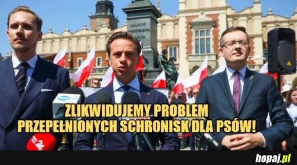 
    Z pewnością. 