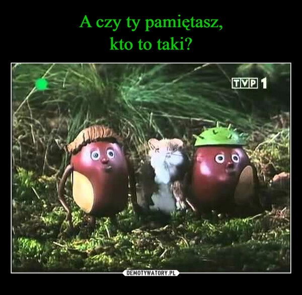 
    A czy ty pamiętasz,
kto to taki?