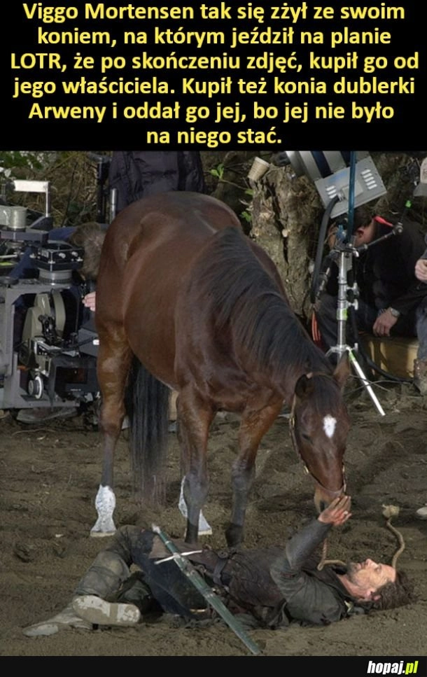 
    Mortensen kupił konia, którym jeździł na planie