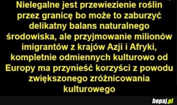 
    Czego nie rozumiecie