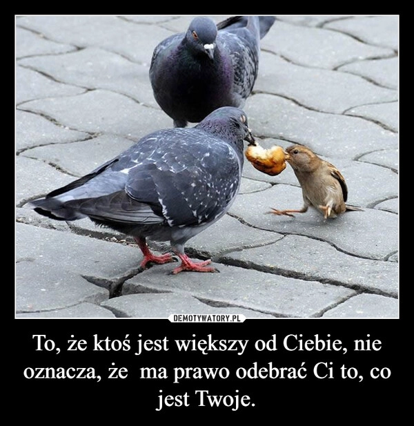 
    To, że ktoś jest większy od Ciebie, nie oznacza, że  ma prawo odebrać Ci to, co jest Twoje.