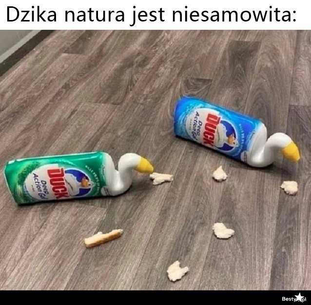 
    Dzika natura 