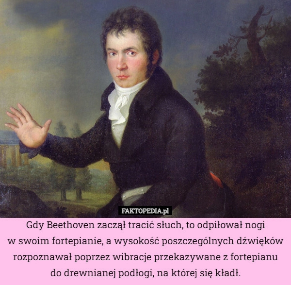 
    Gdy Beethoven zaczął tracić słuch, to odpiłował nogi
w swoim fortepianie,