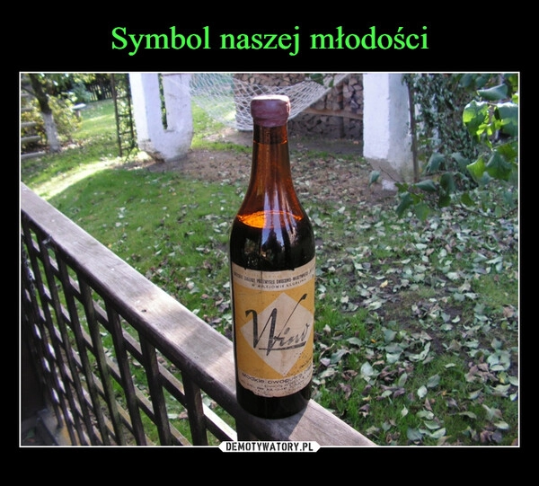 
    Symbol naszej młodości