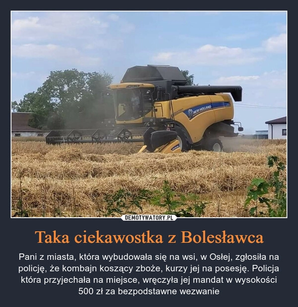 
    Taka ciekawostka z Bolesławca