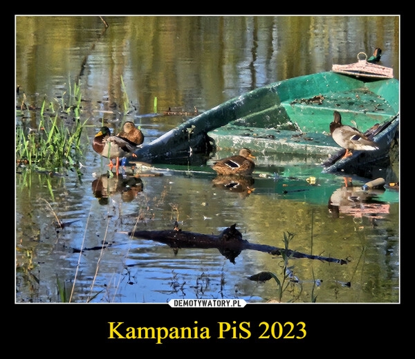 
    Kampania PiS 2023