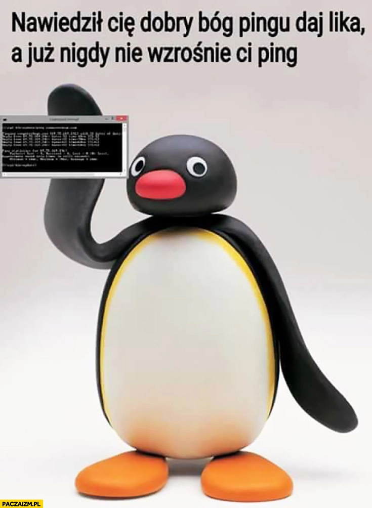 
    Nawiedził Cię dobry Bóg Pingu, daj like a już nigdy nie wzrośnie ci ping pingwin