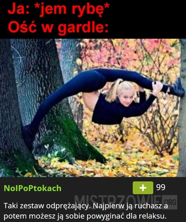 
    
			Ość					