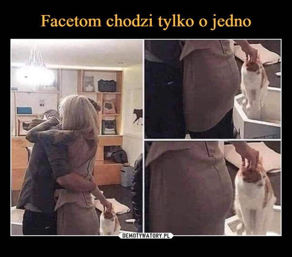 
    Facetom chodzi tylko o jedno 