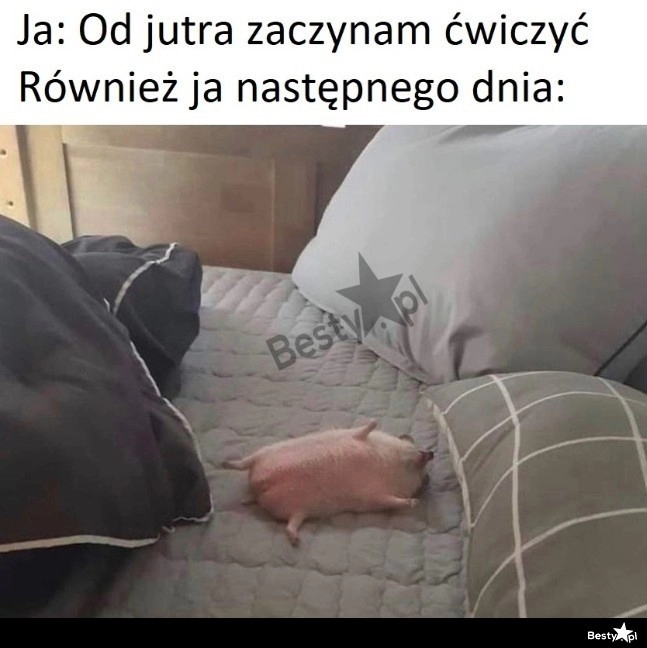 
    Od jutra, obiecuję! 