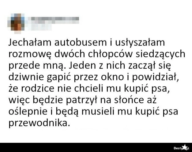 
    Wszystko, żeby mieć pieska 