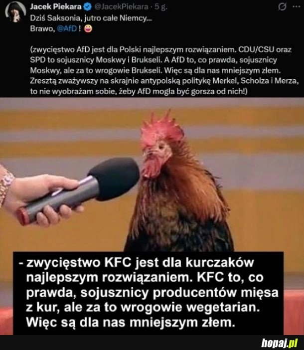 
    Świetnie, jest się z czego cieszyć