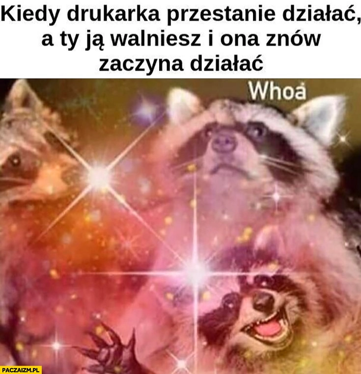 
    Kiedy drukarka przestanie działać a Ty ją walniesz i ona znów zaczyna działać szop pracz