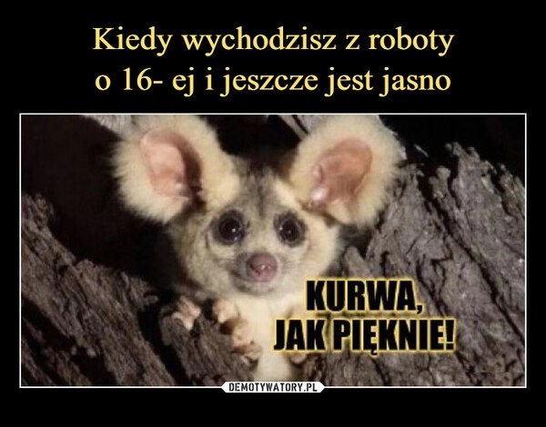 
    Kiedy wychodzisz z roboty
o 16- ej i jeszcze jest jasno