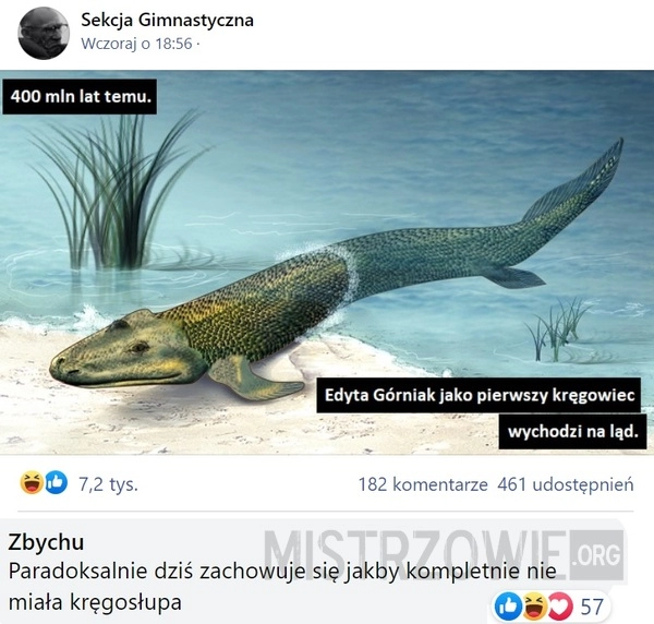 
    
			Ląd					