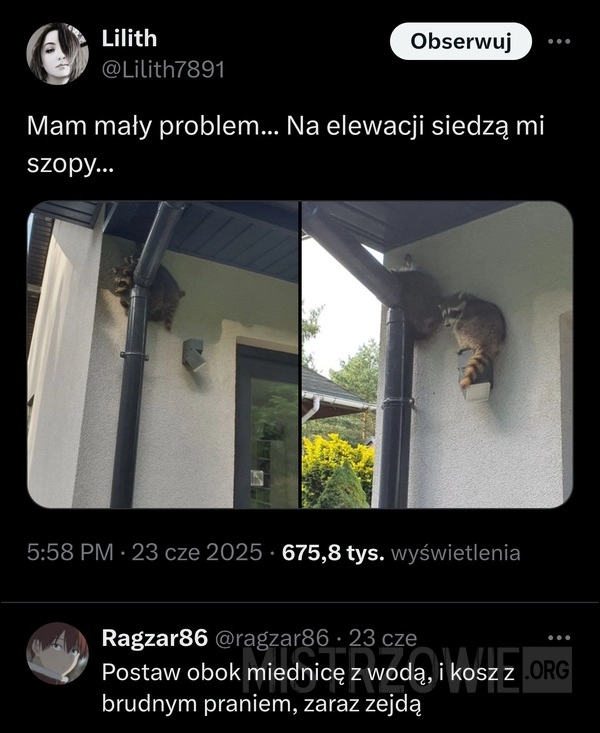 
    Elewacja