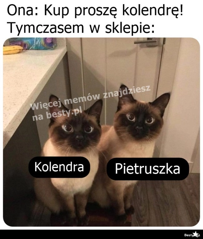 
    Jak dobrze, że są podpisane 