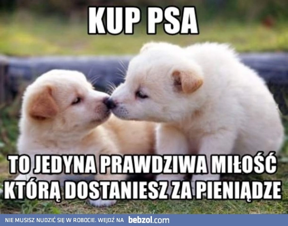 Miłość za pieniądze